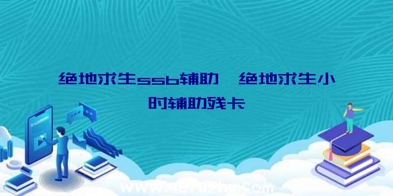 绝地求生ssb辅助、绝地求生小时辅助残卡