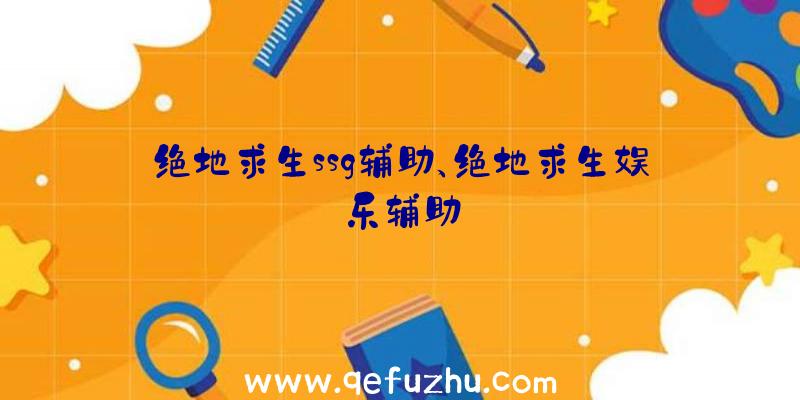 绝地求生ssg辅助、绝地求生娱乐辅助