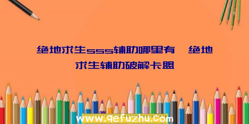 绝地求生sss辅助哪里有、绝地求生辅助破解卡盟