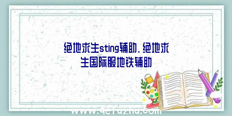 绝地求生sting辅助、绝地求生国际服地铁辅助