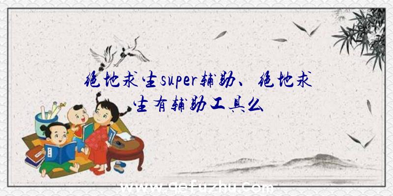 绝地求生super辅助、绝地求生有辅助工具么