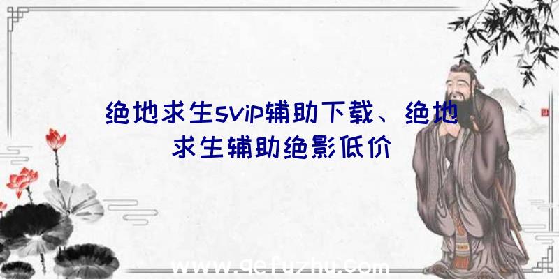 绝地求生svip辅助下载、绝地求生辅助绝影低价