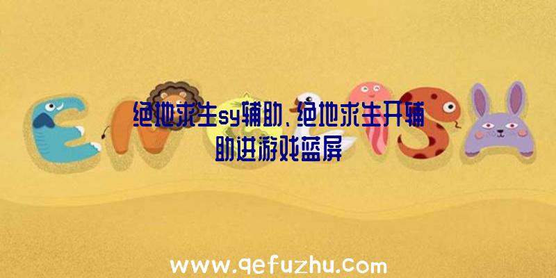 绝地求生sy辅助、绝地求生开辅助进游戏蓝屏