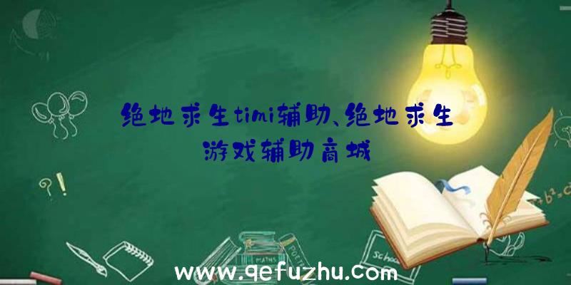 绝地求生timi辅助、绝地求生游戏辅助商城