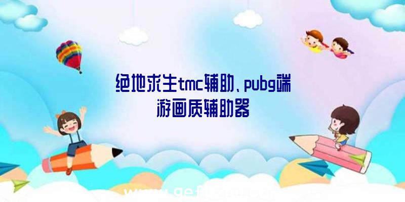 绝地求生tmc辅助、pubg端游画质辅助器