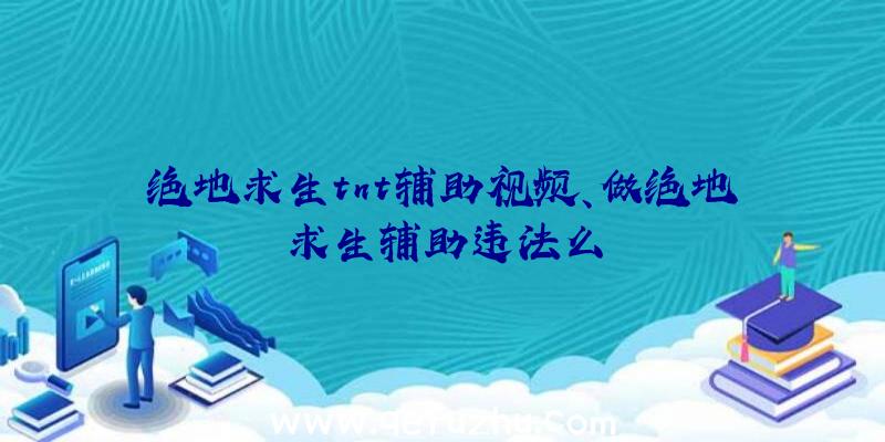 绝地求生tnt辅助视频、做绝地求生辅助违法么