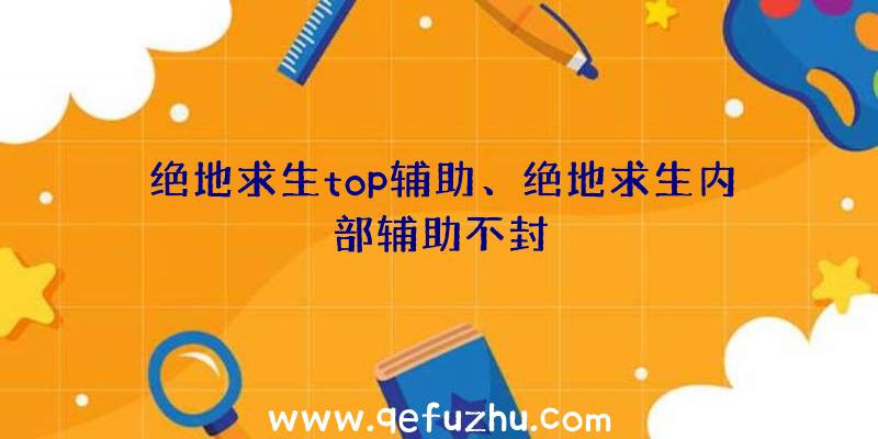 绝地求生top辅助、绝地求生内部辅助不封