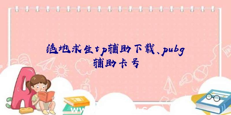 绝地求生tp辅助下载、pubg辅助卡号