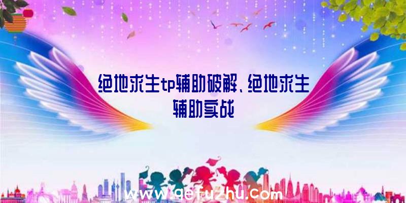 绝地求生tp辅助破解、绝地求生辅助实战