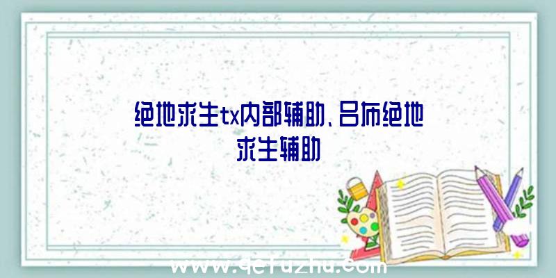 绝地求生tx内部辅助、吕布绝地求生辅助