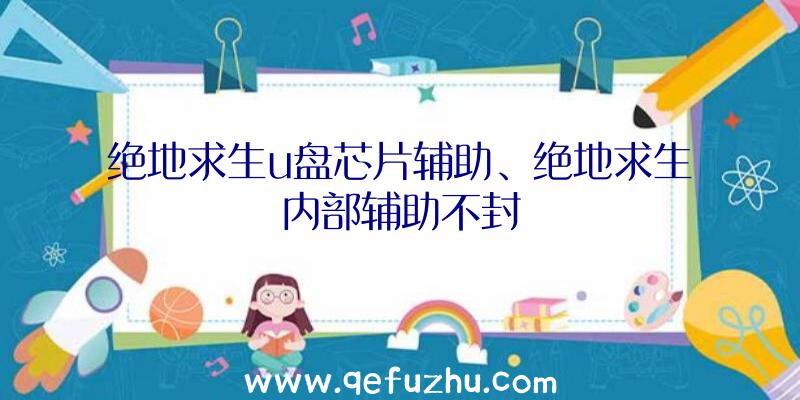 绝地求生u盘芯片辅助、绝地求生内部辅助不封