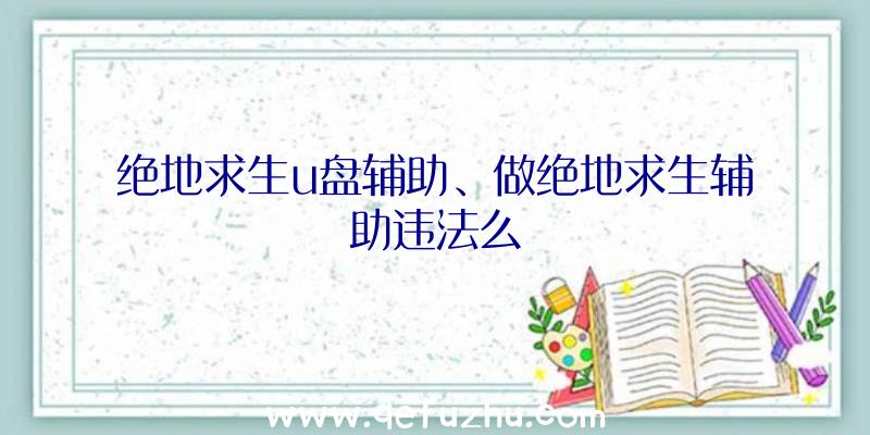 绝地求生u盘辅助、做绝地求生辅助违法么