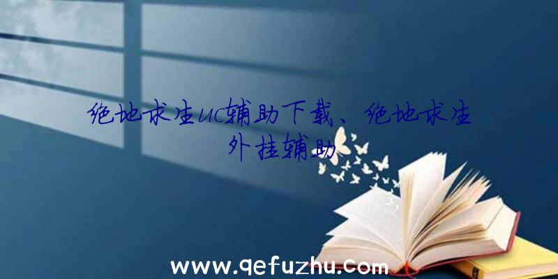 绝地求生uc辅助下载、绝地求生外挂辅助