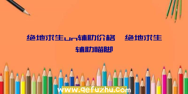 绝地求生un辅助价格、绝地求生辅助瞄脚