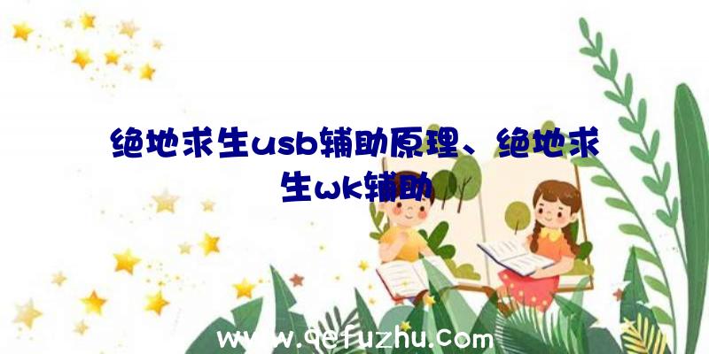 绝地求生usb辅助原理、绝地求生wk辅助