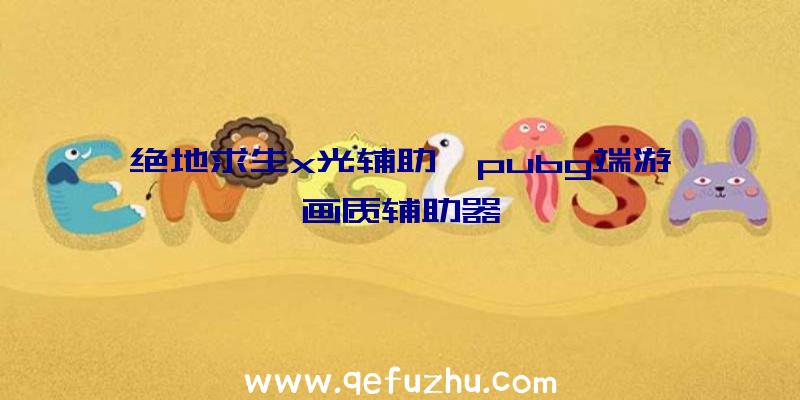 绝地求生x光辅助、pubg端游画质辅助器