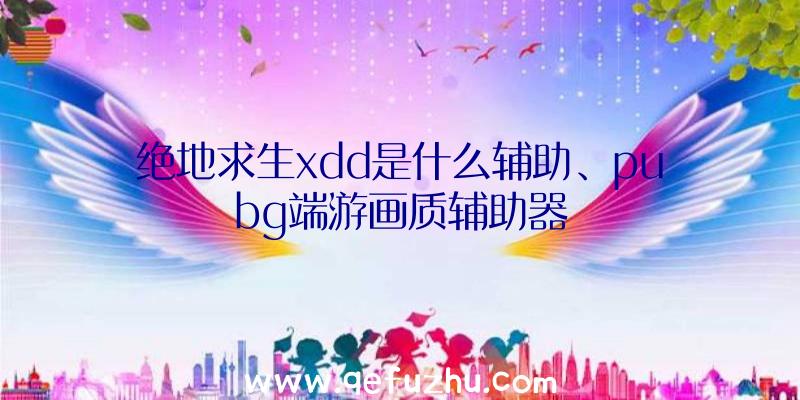 绝地求生xdd是什么辅助、pubg端游画质辅助器