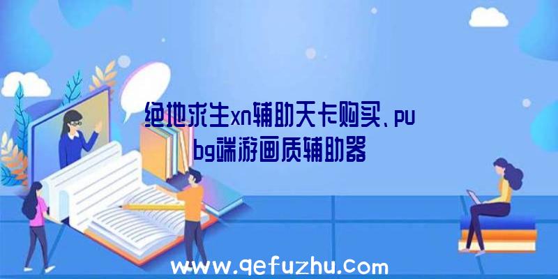 绝地求生xn辅助天卡购买、pubg端游画质辅助器