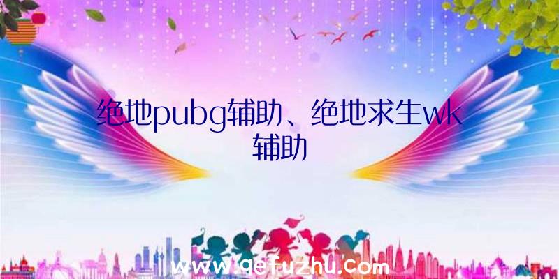 绝地pubg辅助、绝地求生wk辅助