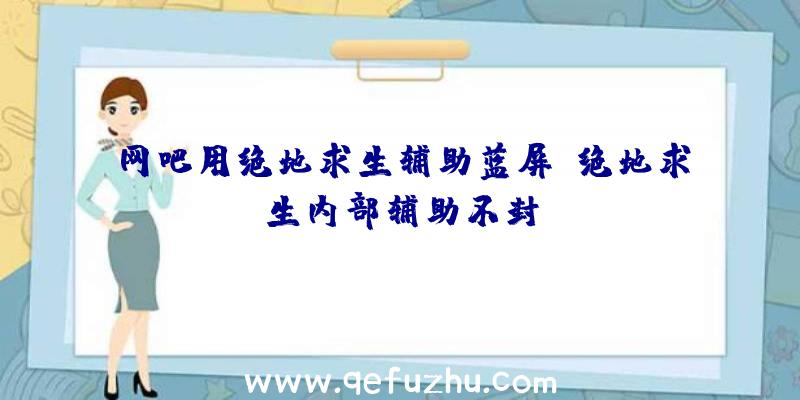 网吧用绝地求生辅助蓝屏、绝地求生内部辅助不封