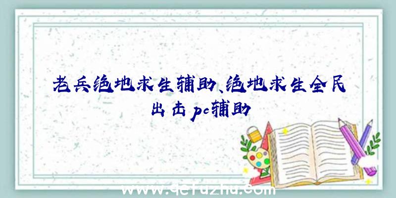 老兵绝地求生辅助、绝地求生全民出击pc辅助