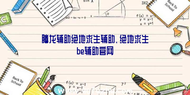 腾龙辅助绝地求生辅助、绝地求生be辅助官网