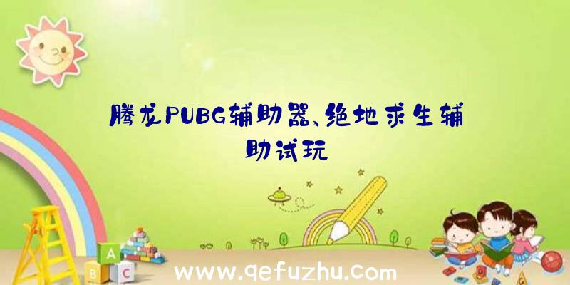 腾龙PUBG辅助器、绝地求生辅助试玩