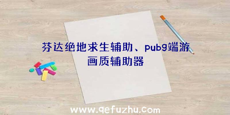 芬达绝地求生辅助、pubg端游画质辅助器