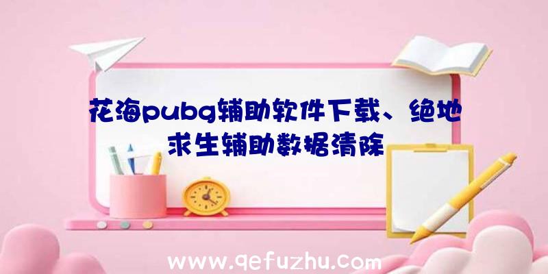 花海pubg辅助软件下载、绝地求生辅助数据清除