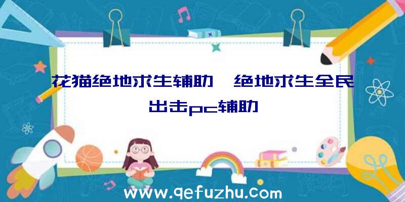 花猫绝地求生辅助、绝地求生全民出击pc辅助