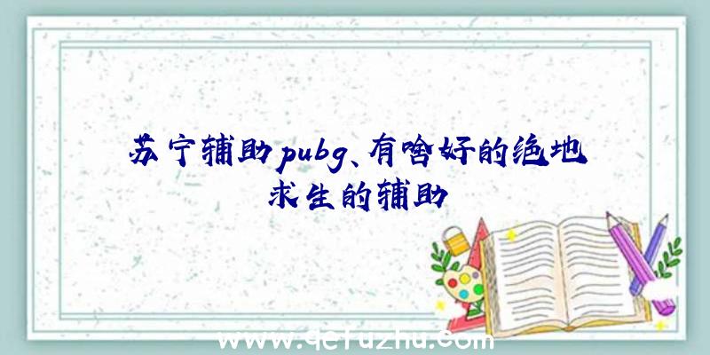 苏宁辅助pubg、有啥好的绝地求生的辅助