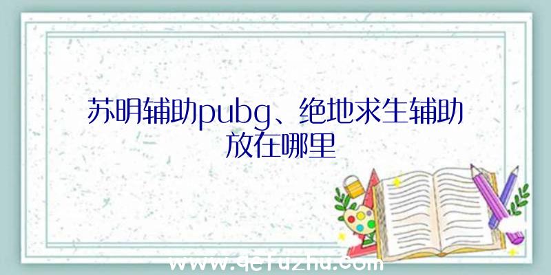 苏明辅助pubg、绝地求生辅助