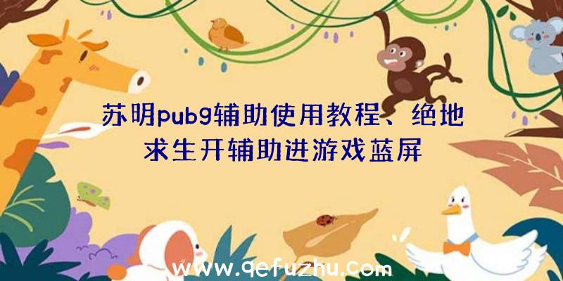 苏明pubg辅助使用教程、绝地求生开辅助进游戏蓝屏