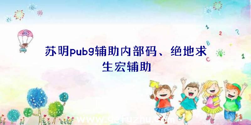 苏明pubg辅助内部码、绝地求生宏辅助