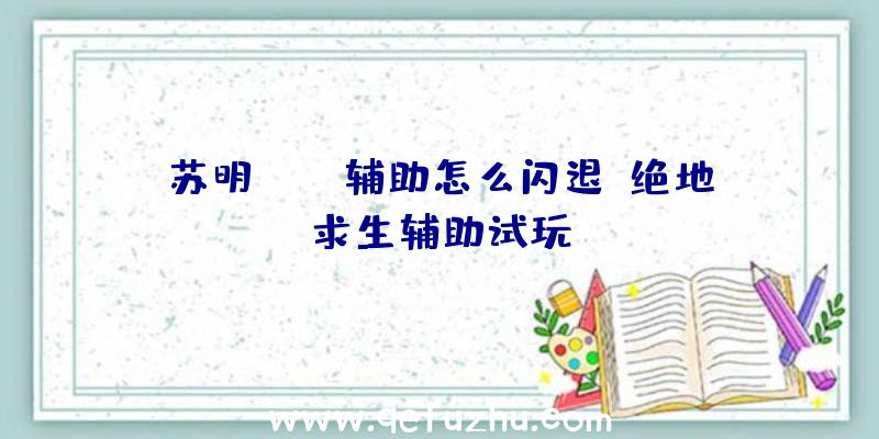 苏明pubg辅助怎么闪退、绝地求生辅助试玩