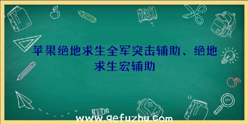 苹果绝地求生全军突击辅助、绝地求生宏辅助