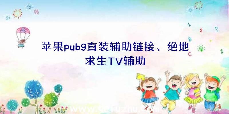 苹果pubg直装辅助链接、绝地求生TV辅助