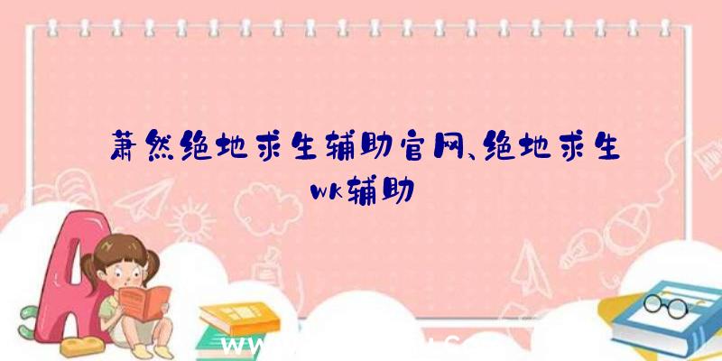 萧然绝地求生辅助官网、绝地求生wk辅助