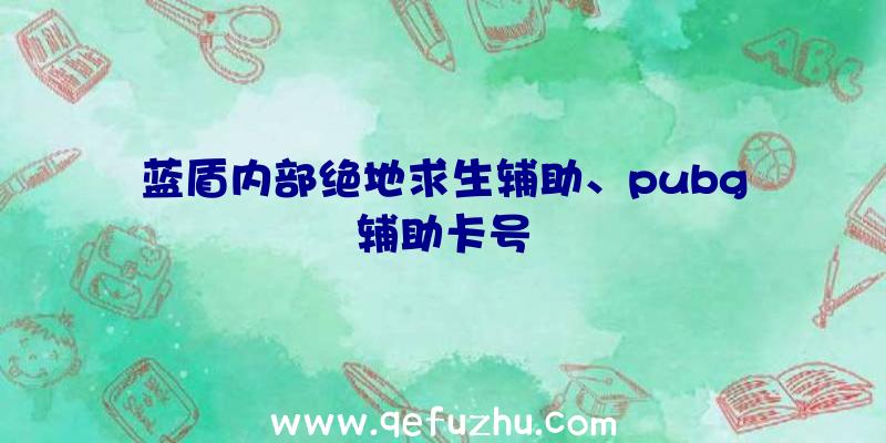 蓝盾内部绝地求生辅助、pubg辅助卡号