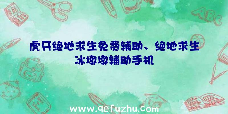 虎牙绝地求生免费辅助、绝地求生冰墩墩辅助手机