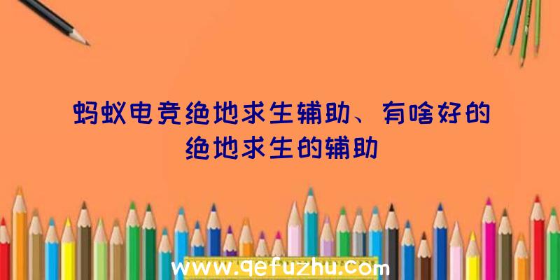 蚂蚁电竞绝地求生辅助、有啥好的绝地求生的辅助