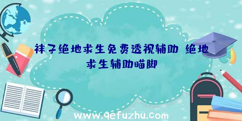 袜子绝地求生免费透视辅助、绝地求生辅助瞄脚