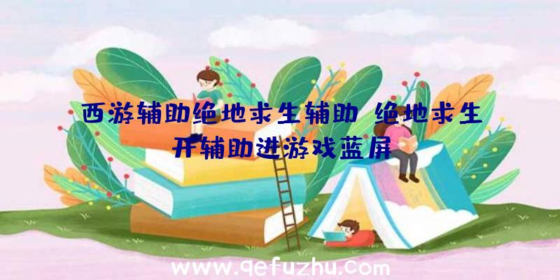 西游辅助绝地求生辅助、绝地求生开辅助进游戏蓝屏