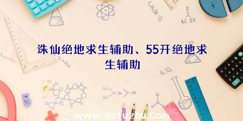 诛仙绝地求生辅助、55开绝地求生辅助