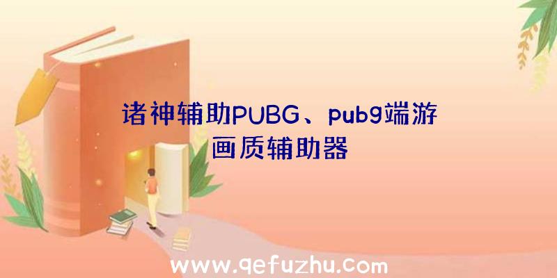 诸神辅助PUBG、pubg端游画质辅助器