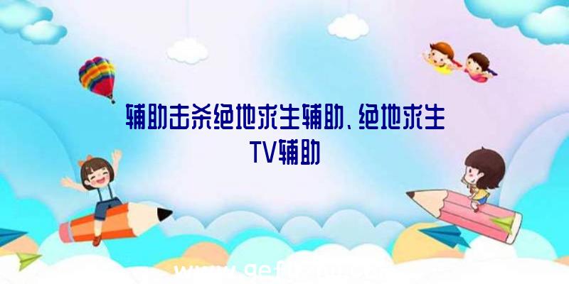 辅助击杀绝地求生辅助、绝地求生TV辅助