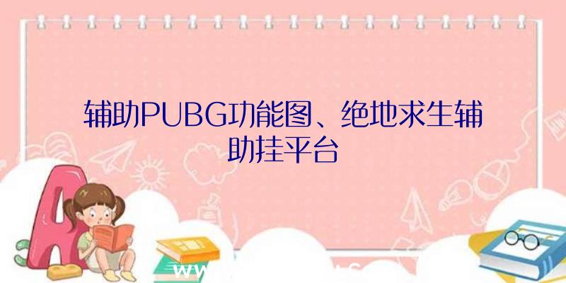 辅助PUBG功能图、绝地求生辅助挂平台