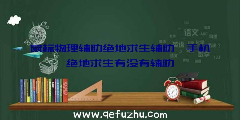 鼠标物理辅助绝地求生辅助、手机绝地求生有没有辅助