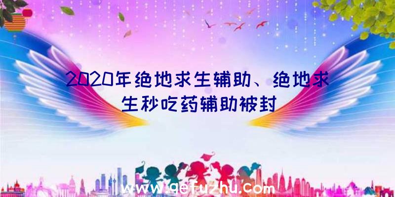 2020年绝地求生辅助、绝地求生秒吃药辅助被封