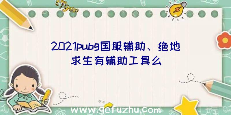 2021pubg国服辅助、绝地求生有辅助工具么